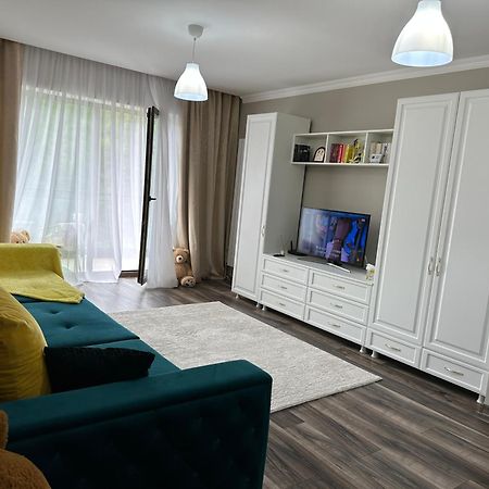 Silvelen Mountain View Apartment Braşov Dış mekan fotoğraf